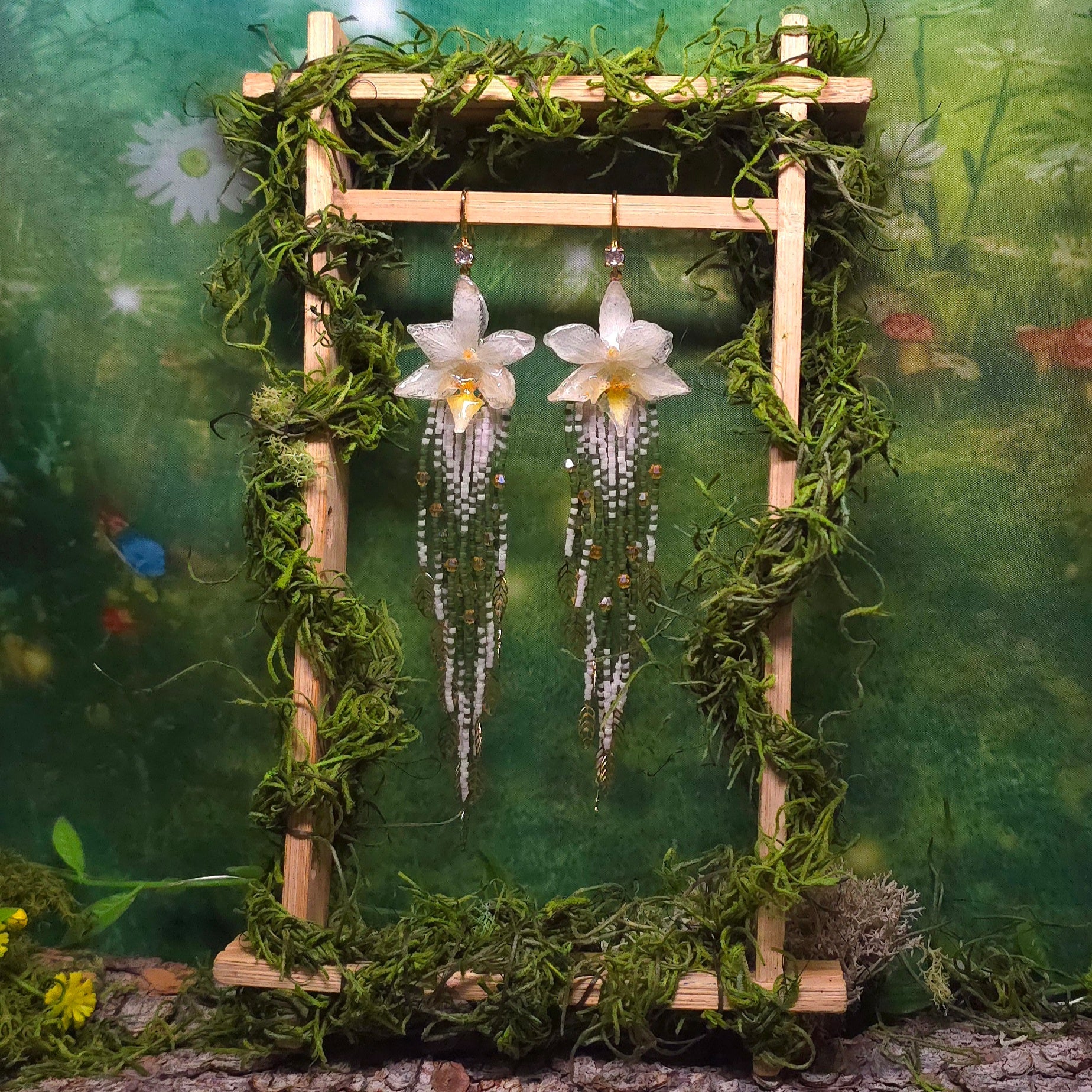 Orchids